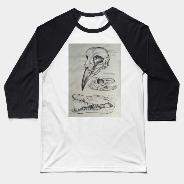 A bird, A fish & A Reptile Baseball T-Shirt by IndiasIllustrations